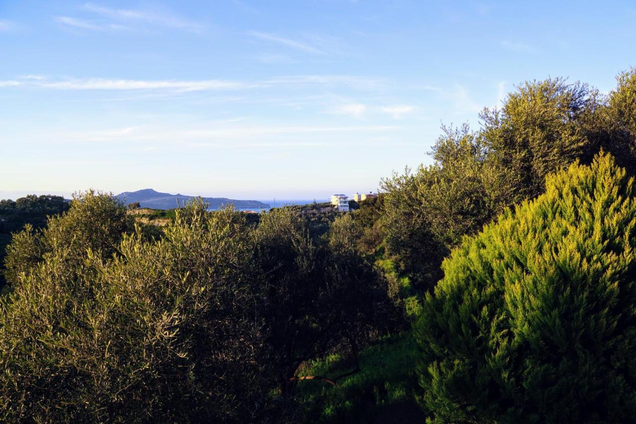 Olive Tree Hillside Apartment สตาโลส ภายนอก รูปภาพ